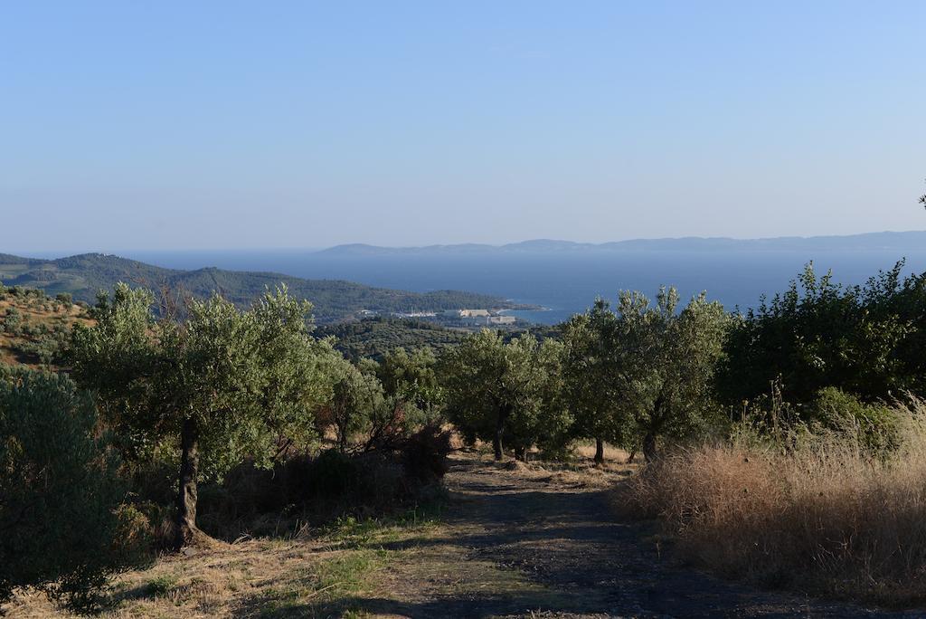 Guesthouse Parthenón מראה חיצוני תמונה
